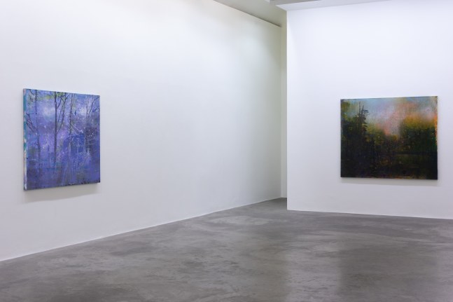 Elizabeth Magill, Red Stars and Variations, Kerlin Gallery, May - July 2021