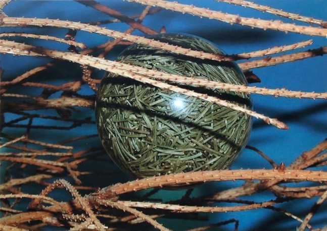 Siobh&aacute;n Hapaska