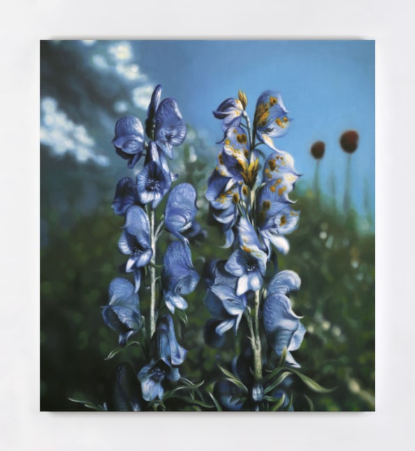 Eoin Mc Hugh&amp;nbsp;
Detail, 2011
oil on canvas mounted on aluminium panel
45 x 40 cm / 17.7 x 15.7 in