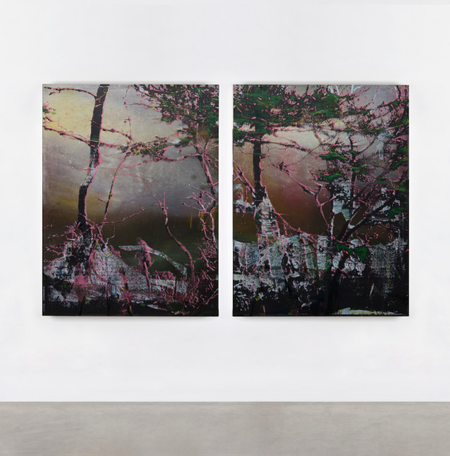 Elizabeth Magill&amp;nbsp;
Night Sky Maker,&amp;nbsp;2019
diptych, oil and screenprint on canvas
145 &amp;times; 110 cm each panel
