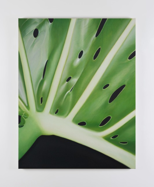 Marcel Vidal
Monstera III,&amp;nbsp;2023
oil on linen
90 x 70 cm / 35.4 x 27.6 in