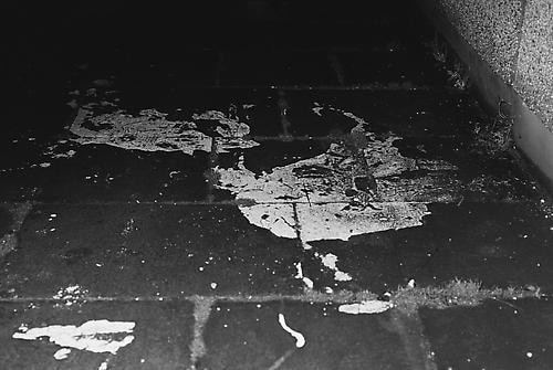 FLYOVER, FACE DOWN, Alleyway Used For Cover On January 30th,