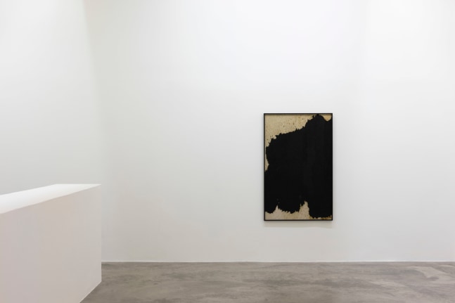 Ailbhe N&iacute; Bhriain