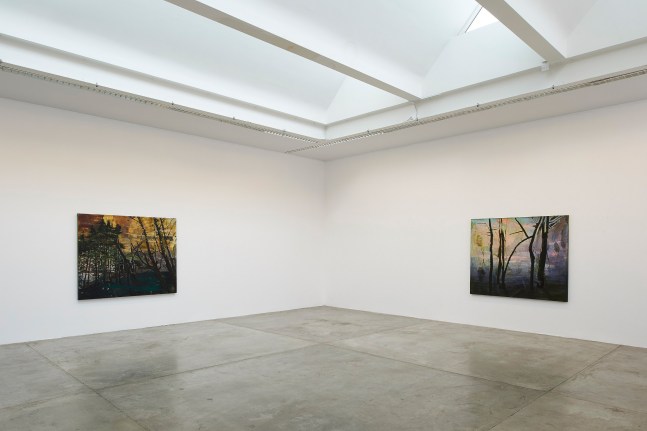 Elizabeth Magill
Headland, 2017
Limerick City Gallery of Art, Ireland

&amp;nbsp;