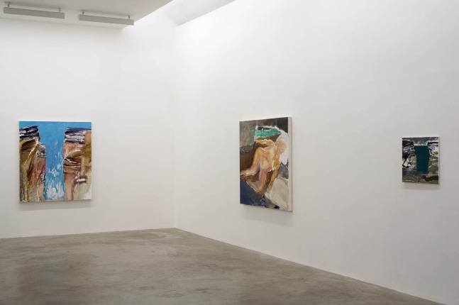 Barrie Cooke, Nudes, 5