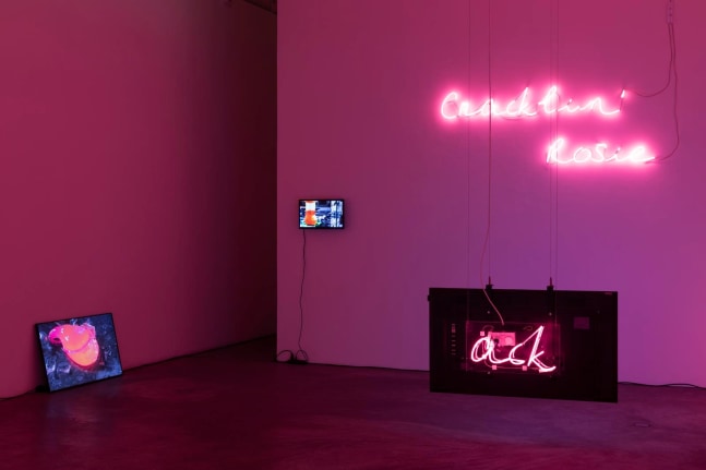 Jaki Irvine,&amp;nbsp;Ack Ro&amp;#39;,&amp;nbsp;Kerlin Gallery, 24 January - 29 February 2020