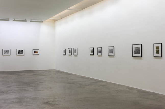 Samuel Laurence Cunnane, Kerlin Gallery, September - October 2020