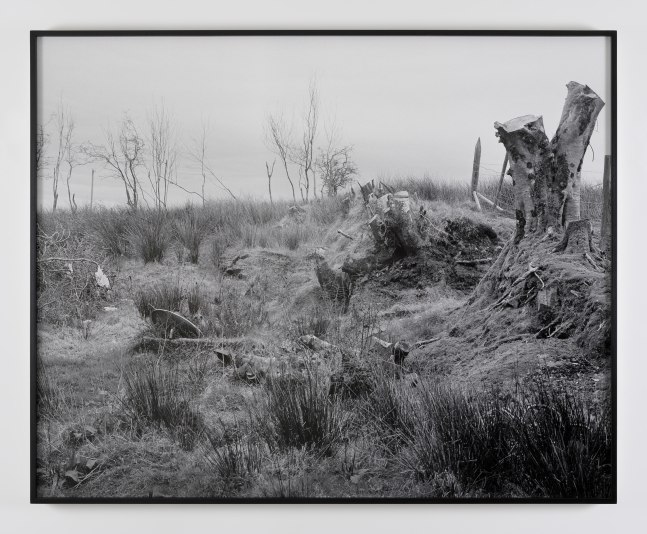 Willie Doherty&amp;nbsp;

Winter Landscape, 2022

Pigment print on Hahnem&amp;uuml;hle Photo Rag Baryta 315gsm., edition 1 of 3

109 x 135 cm / 42.9 x 53.1 in framed &amp;nbsp;

&amp;nbsp;
