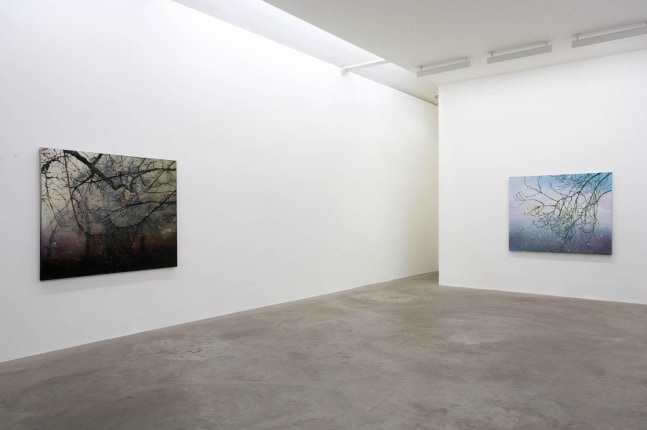 Elizabeth Magill, Arborescence, 2