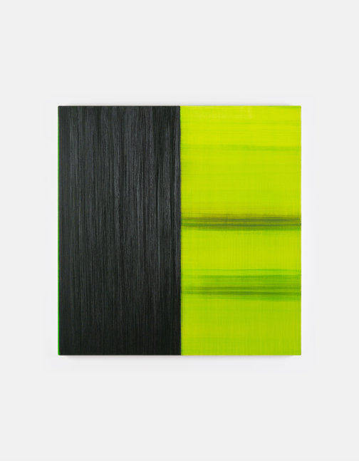 Callum Innes&amp;nbsp;

Untitled Lamp Black / Bright Green Lake,&amp;nbsp;2025

oil on linen

82 x 80 cm / 32.3 x 31.5 in&amp;nbsp; &amp;nbsp;