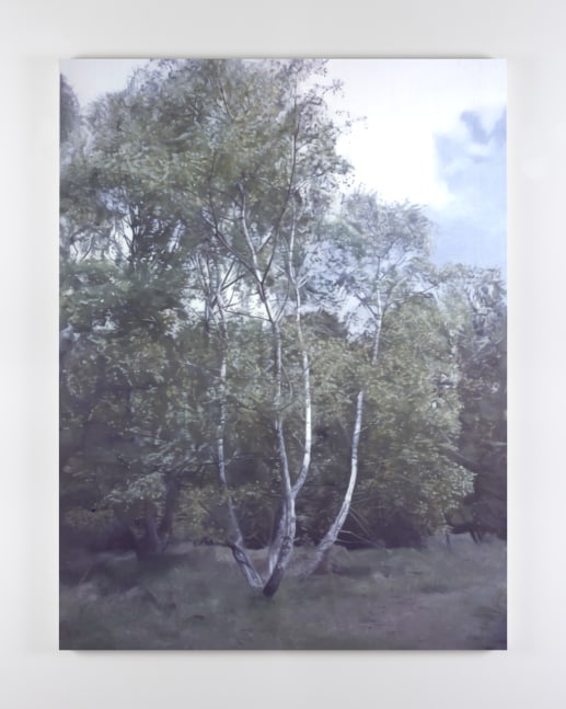 Paul Winstanley&amp;nbsp;
Birch 2, 2005
oil on linen
220 x 160 cm / 86.6 x 63 in&amp;nbsp; &amp;nbsp;