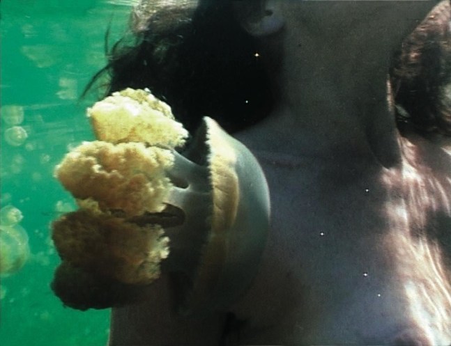 Dorothy Cross&amp;nbsp;Jellyfish Lake 2002&amp;nbsp;edition of 4&amp;nbsp;DVD 6 minutes