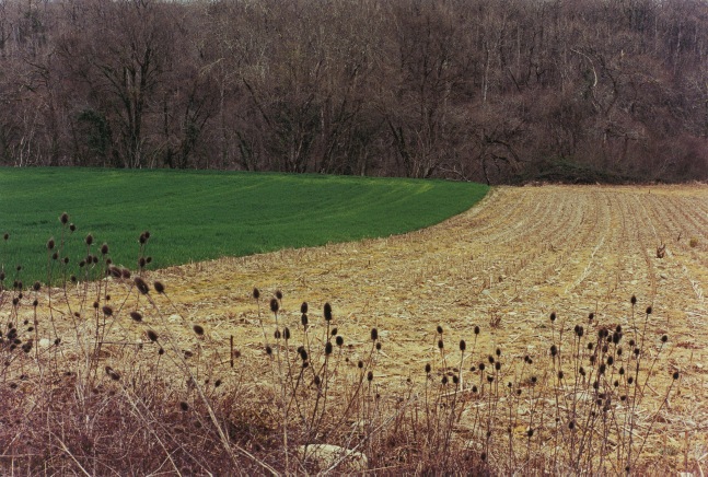 Samuel Laurence Cunnane Boundary, 2023 Hand-printed C-type print on archival photo paper, framed edition of 3 + 1AP 32 x 47.5 cm / 12.6 x 18.7 in image size  53 x 68.5 cm / 20.9 x 27 in framed