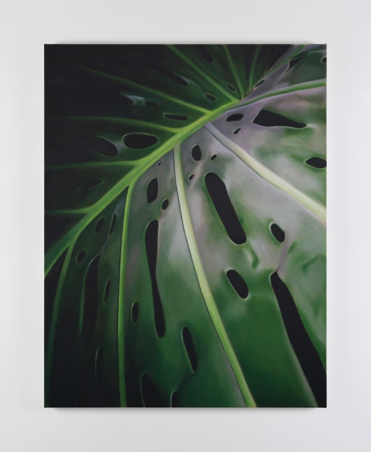 Marcel Vidal&amp;nbsp;
Monstera I,&amp;nbsp;2023
oil on linen
90 x 70 cm / 35.4 x 27.6 in