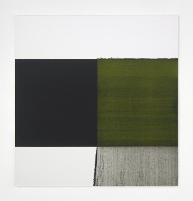 Callum Innes, Exposed Painting Cinnabar Green