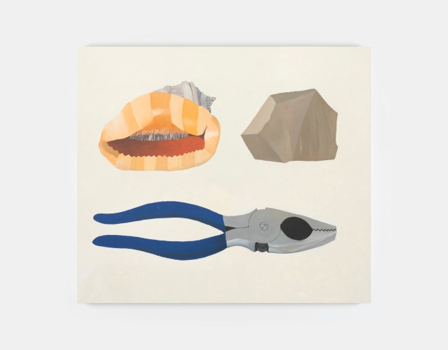 natural things and a plyer,&amp;nbsp;1998

oil on paper mounted on canvas

164 x 143 cm / 64.6 x 56.3 in&amp;nbsp; &amp;nbsp;