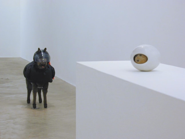 Siobhán Hapaska, Cease Firing On All Fronts, 02