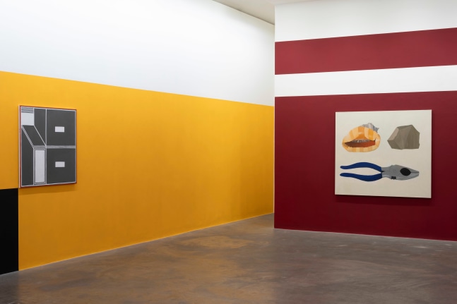 Nathalie Du Pasquier