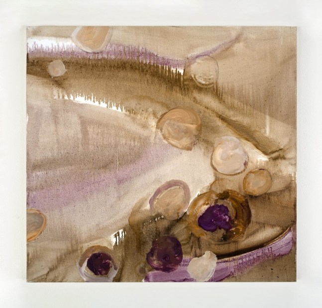 Barrie Cooke, Didymosphenia Geminata lV,