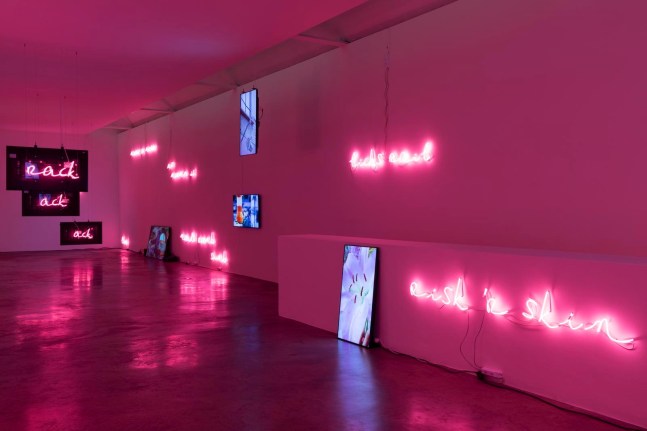 Jaki Irvine,&amp;nbsp;Ack Ro&amp;#39;,&amp;nbsp;Kerlin Gallery, 24 January - 29 February 2020