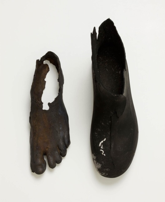 Dorothy Cross, Foot and Boot