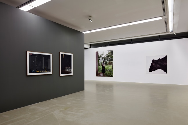 Paul Seawright
Beasts of Burden, 2020
St&amp;auml;dtische Galerie Nordhorn, Germany&amp;nbsp;