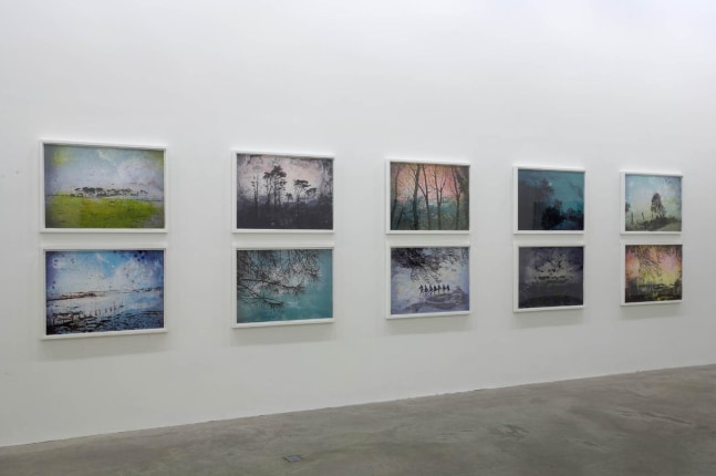 Elizabeth Magill, Arborescence, 4