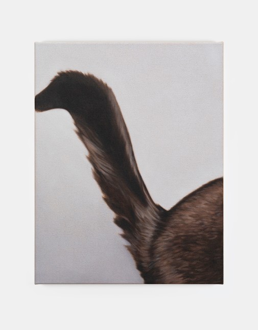 Marcel Vidal

Cat I, 2024

oil on linen

45 x 35 cm / 17.7 x 13.8 in