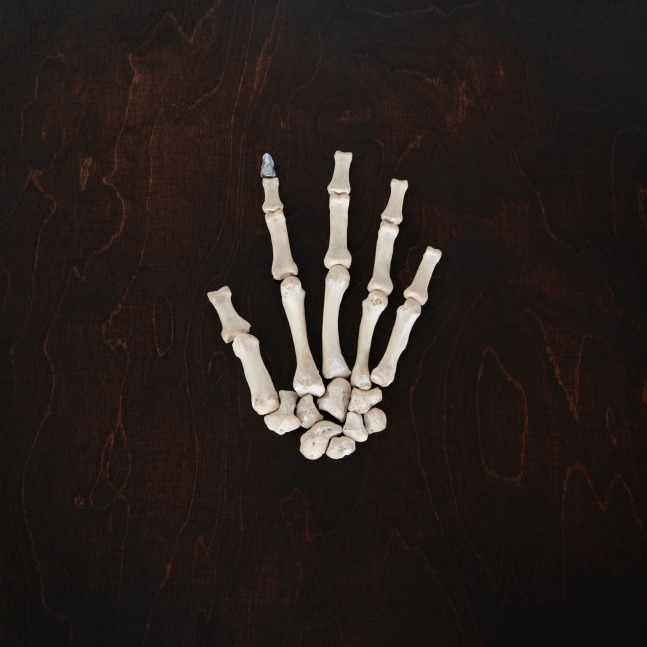 Dorothy Cross
Fingertip Pearl, 2011
Hand bones and fingertip overgrown with black-lipped oyster nacre
22 x 16 x 2 cm / 8.7 x 6.3 x .8 in