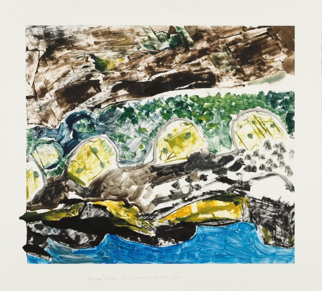 Barrie Cooke  Hillside Cill Rialaig