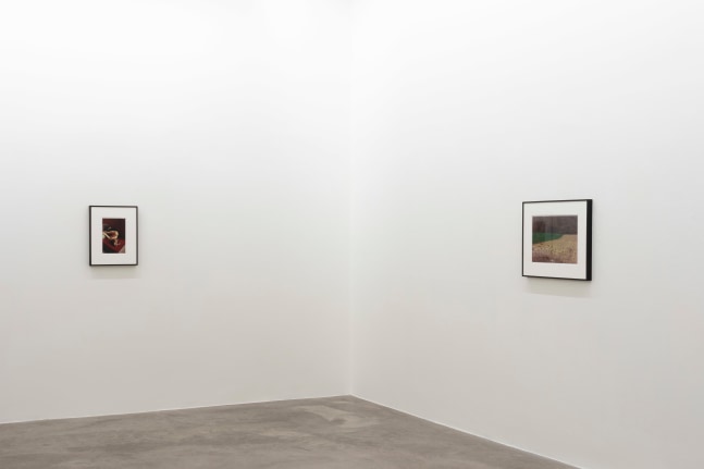 Samuel Laurence Cunnane