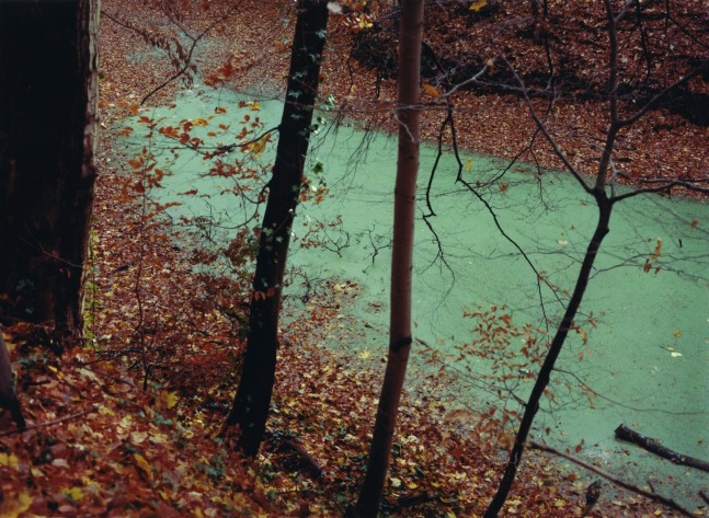 Green river, 2020
hand-printed C-type print on archival photo paper, edition of 3 + 1AP
22.5 x 30.6 cm/ 8.9 x 12 in image size