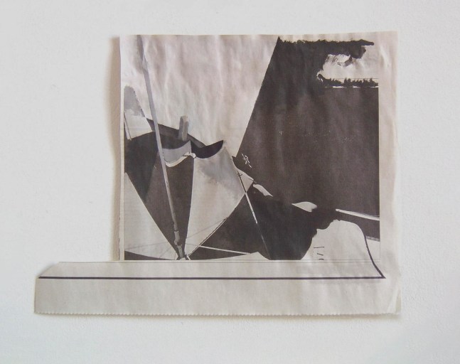 Tony Swain, Hot Food Species