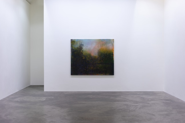 Elizabeth Magill, Red Stars and Variations, Kerlin Gallery, May - July 2021
