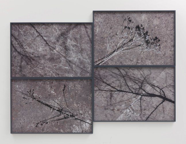 Willie Doherty&amp;nbsp;
Ashen, Restless, 2018
quadriptych, framed pigment print mounted on Dibond
68 x 101.1 cm / 26.8 x 39.8 in each framed&amp;nbsp;

&amp;nbsp;