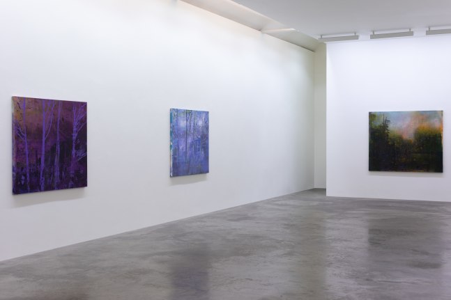 Elizabeth Magill, Red Stars and Variations, Kerlin Gallery, May - July 2021