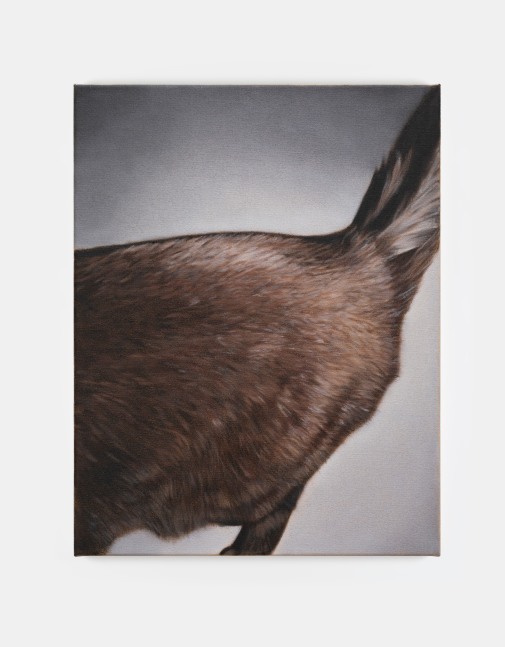 Marcel Vidal

Cat III, 2024

oil on linen

45 x 35 cm / 17.7 x 13.8 in