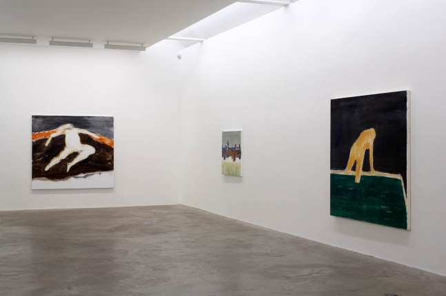 Barrie Cooke, Nudes,3