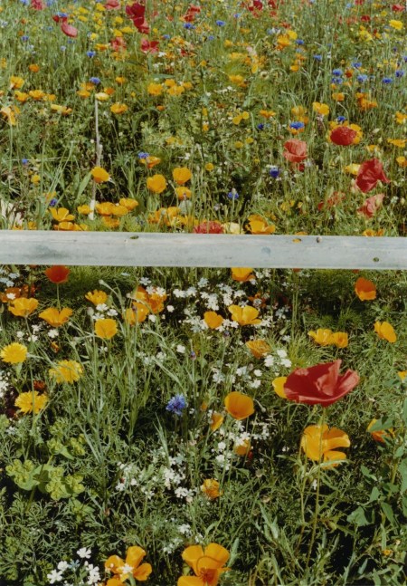 Metal bar, 2019
hand-printed C-type print on archival photo paper, edition of 3 + 1AP
25.5 x 17.8 cm / 10 x 7 in image size