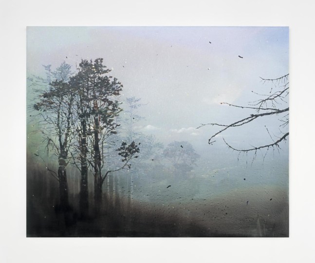 Elizabeth Magill, Grayscale (1)
