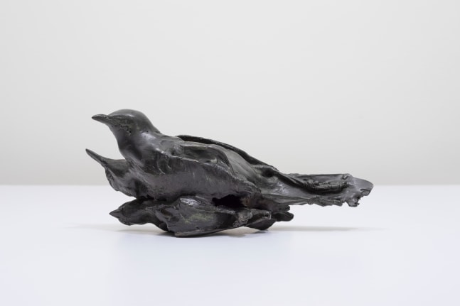 Dorothy Cross
Conglomerate (birds), 2008
patinated bronze, unique
9 x 21 x 6 cm / 3.5 x 8.3 x 2.4 in&amp;nbsp;