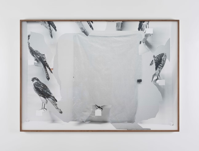 Ailbhe N&amp;iacute; Bhriain&amp;nbsp;

Inscriptions (8),&amp;nbsp;2017

Pigment Baryta print, in raw walnut frame with clarity glass, edition 10 of 10 + 3AP

98 x 140 cm / 38.6 x 55.1 in framed &amp;nbsp;