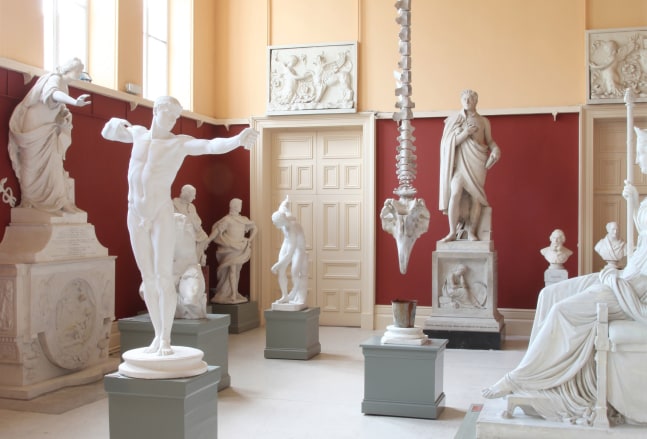 Dorothy Cross
Gravity, 2011
Crawford Art Gallery, Cork, Ireland