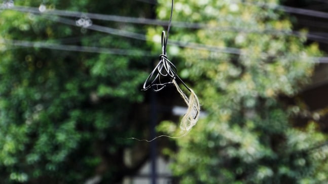 Jaki Irvine&amp;nbsp;
Wire, 2019
video and sound installation, 4:56 minute loop duration, edition of 3

&amp;nbsp;