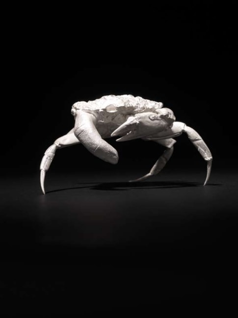 Dorothy Cross&amp;nbsp;
Finger Crab, 2011
solid cast sterling silver, edition of 12
8 x 9.5 x 12 cm / 3.1 x 3.7 x 4.7 in