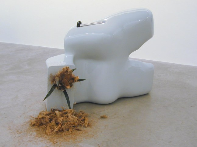 Siobhán Hapaska, Cease Firing On All Fronts, 05