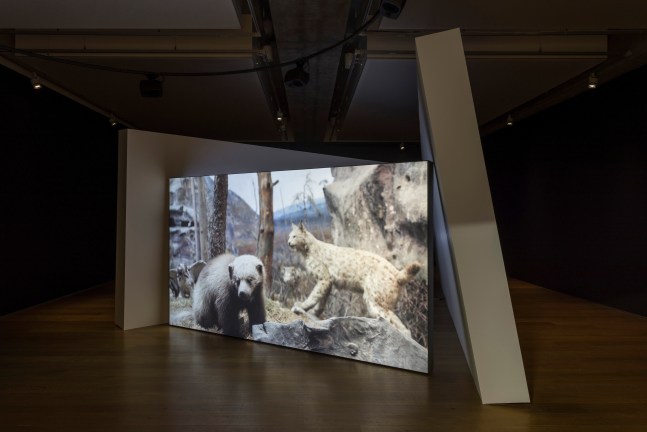 Gerard Byrne
Jielemeguvvie guvvie sjisjnjeli (Film inside an image), 2024
Towner Eastbourne, UK
Photo: Rob Harris