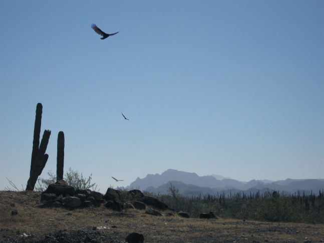 Jaki Irvine&amp;nbsp;
Old conditions for new love, 2008
lightjet print on fuji crystal paper framed
edition of 3 + 1 AP
80.5 x 98.5 cm / 31.7 x 38.8 in&amp;nbsp;
Collection of Irish Museum of Modern Art, Dublin