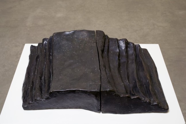 Kathy Prendergast, The steps up and the steps down