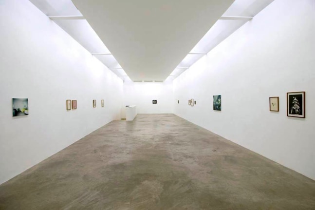 All cognition is recollection